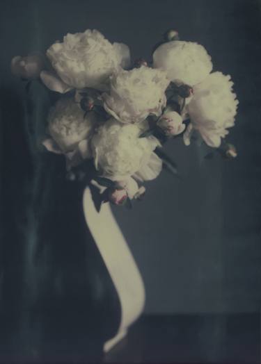 Print of Fine Art Floral Photography by changwook you