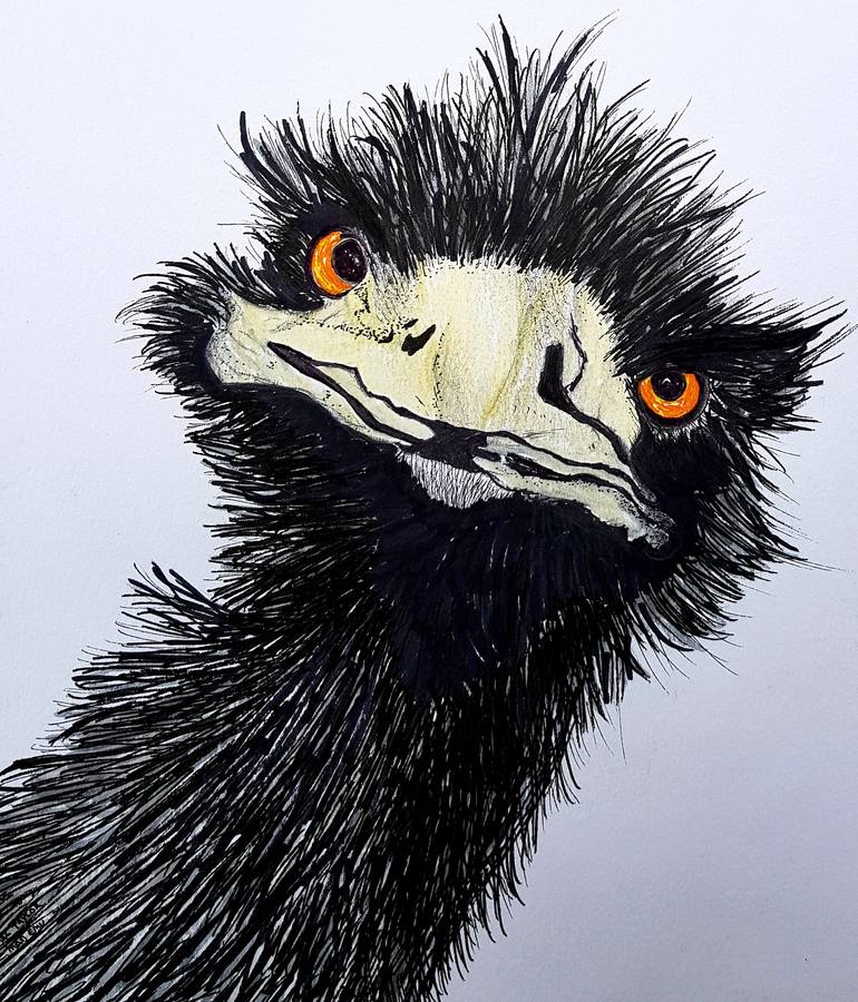 Mad emu Drawing by Thomas Taylor | Saatchi Art