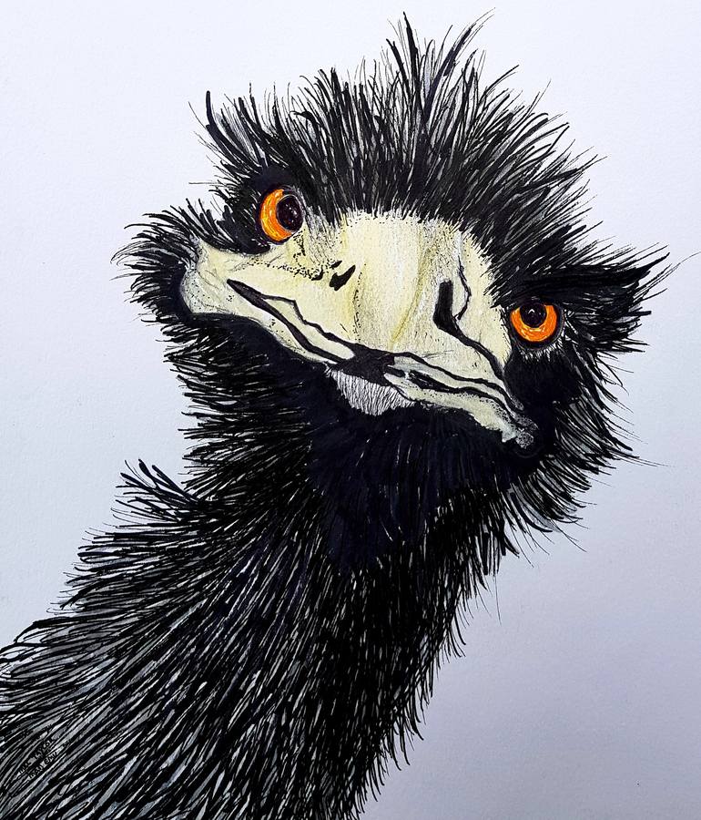 Mad emu Drawing by Thomas Taylor | Saatchi Art Mad emu Drawing by Thomas Taylor | Saatchi Art