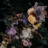 Volucris, Photography by Runa and Holly by Runa and  Holly