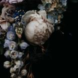 Lucent Photography by Runa and Holly by Runa and  Holly