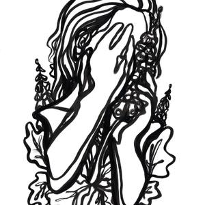 Collection Peekaboo! 