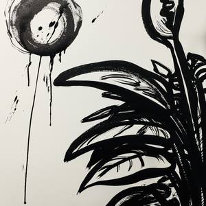 Collection Peace Lily