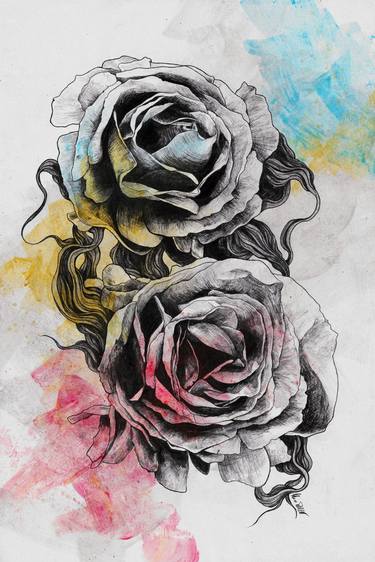 Print of Illustration Floral Drawings by Marco Paludet