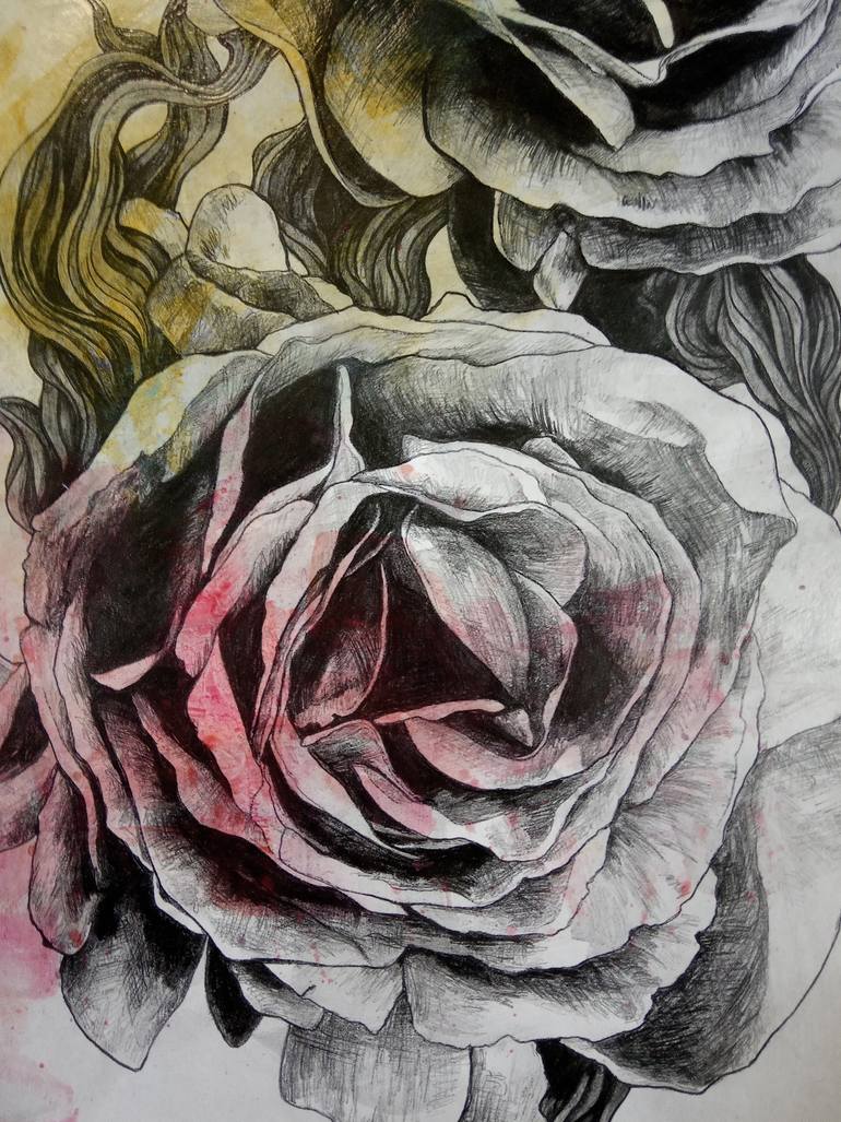 Original Illustration Floral Drawing by Marco Paludet