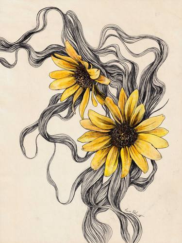 Print of Illustration Floral Drawings by Marco Paludet