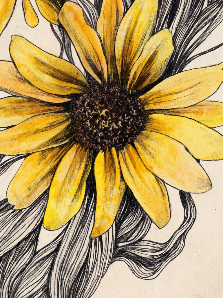 Original Illustration Floral Drawing by Marco Paludet