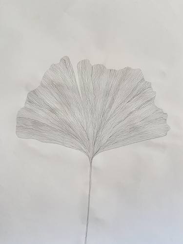 Original Contemporary Botanic Drawings by Ana Frois