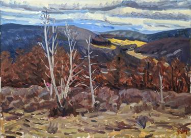 Original Impressionism Landscape Paintings by Daniel Lloyd-Miller