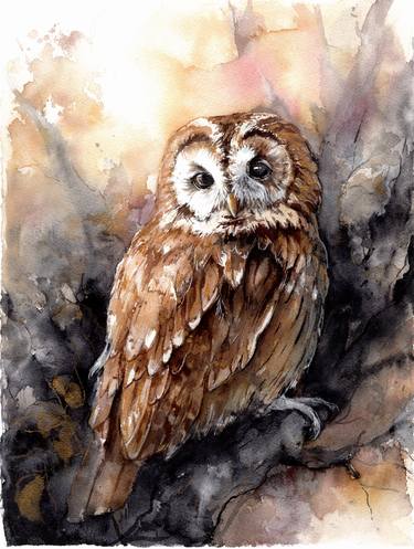 Tawny owl watercolor painting. Wild Birds art thumb