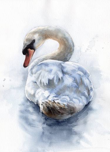 White Swan in a serene blue lake. Birds watercolor. thumb