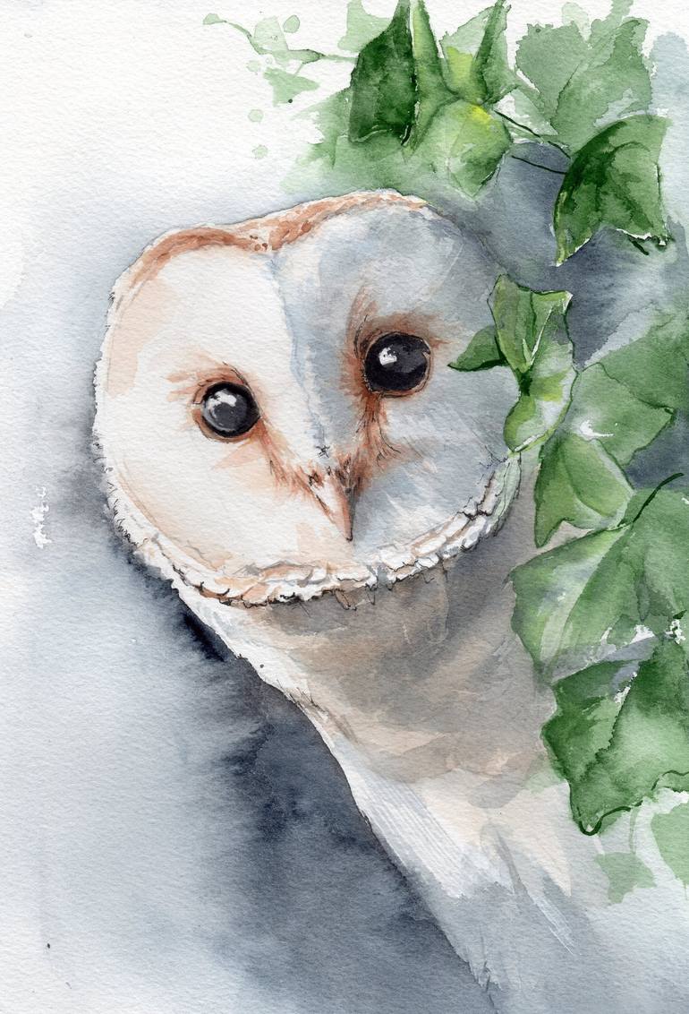 cute barn owl drawing