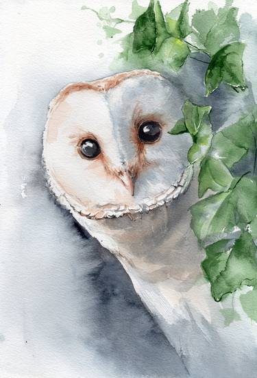 Barn owl watercolor painting. Cute bird art. thumb