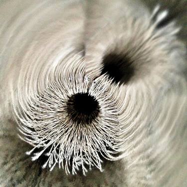 Original Abstract Photography by Sam Mogelonsky