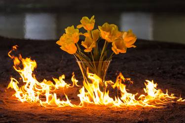 Tulips with flames. thumb