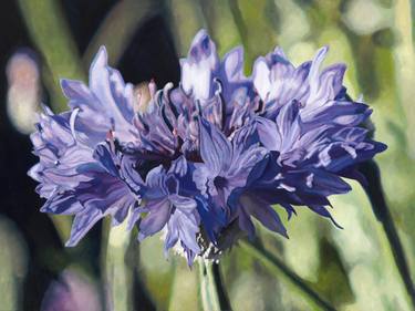 Original Realism Floral Paintings by Joanna Poulson