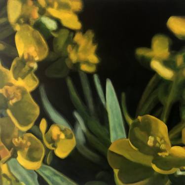 Original Realism Botanic Paintings by Joanna Poulson