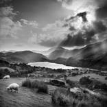 Collection Landscapes