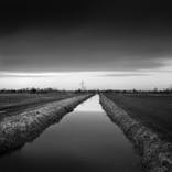 Collection Landscapes