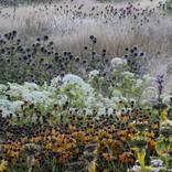 Collection The Oudolf Field 