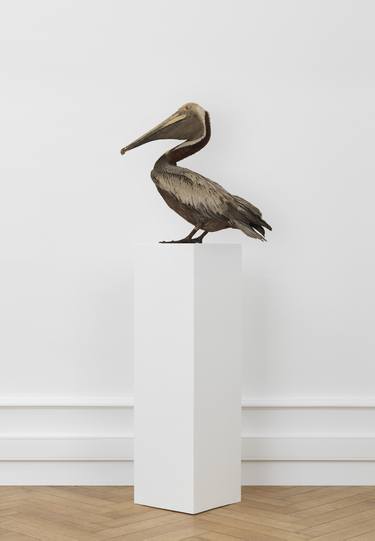 Pelican on Column thumb