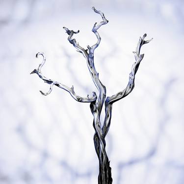 Original Conceptual Tree Photography by Samuel Cornillet