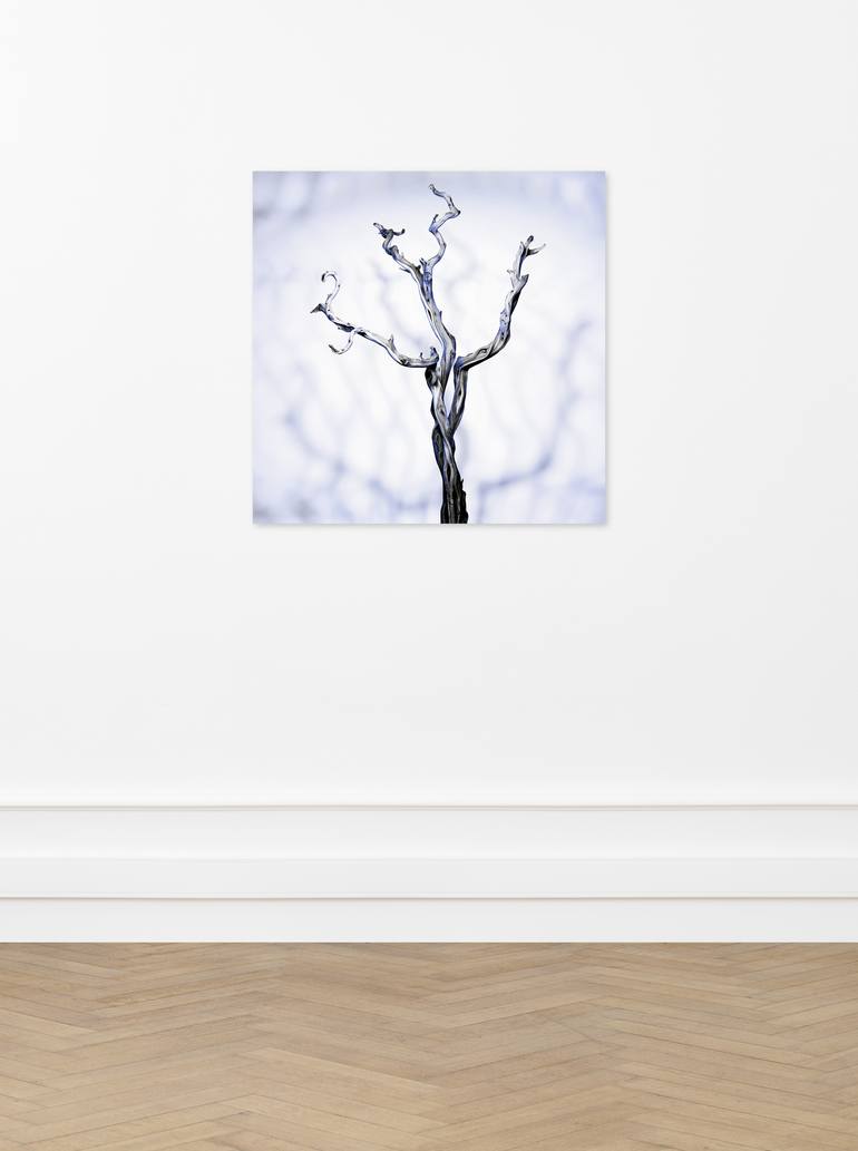 Original Conceptual Tree Photography by Samuel Cornillet