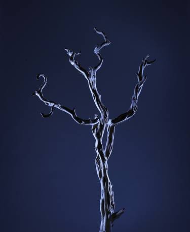Original Conceptual Tree Photography by Samuel Cornillet