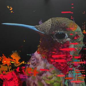 Collection The Other Art Fair London: Exhibitor Collection