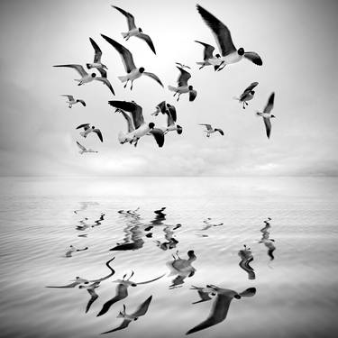 Print of Seascape Photography by Marc Ward