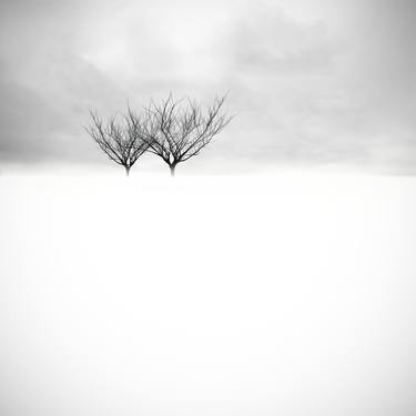 Print of Conceptual Landscape Photography by Marc Ward