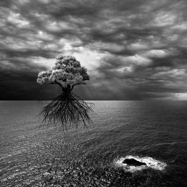 Original Conceptual Landscape Photography by Marc Ward