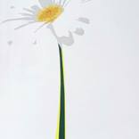 Loves Me Loves Me Not by Nerso Chopur