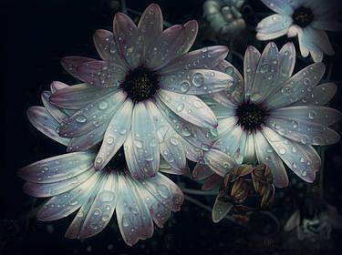 Original Photorealism Floral Photography by Snjezana Lukacic