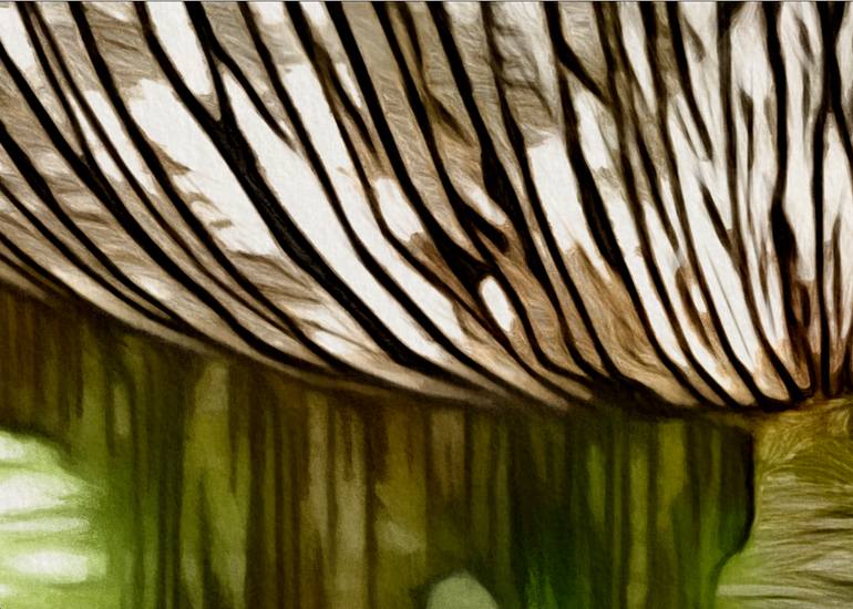 Original Art Deco Nature Photography by Gonda Deenen