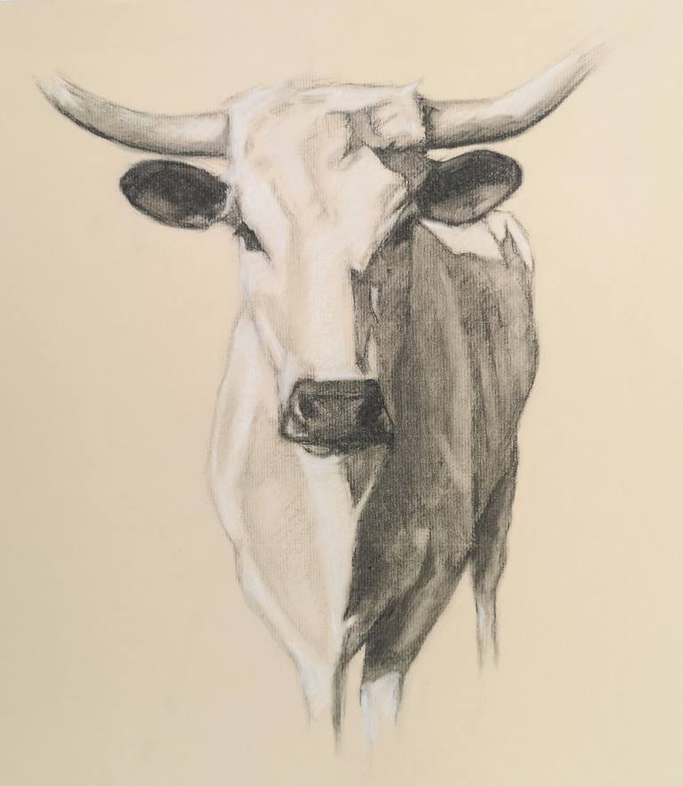 Little Longhorn Drawing by Alison Stubbings Saatchi Art