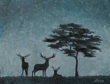 Deer late at night thumb