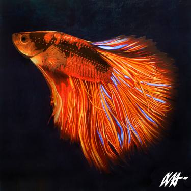 Original Fish Paintings by Christian Steagall-Condé