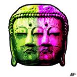 Collection BUDDHAS
