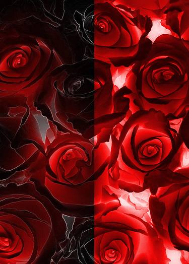 Red Roses and Black Roses thumb