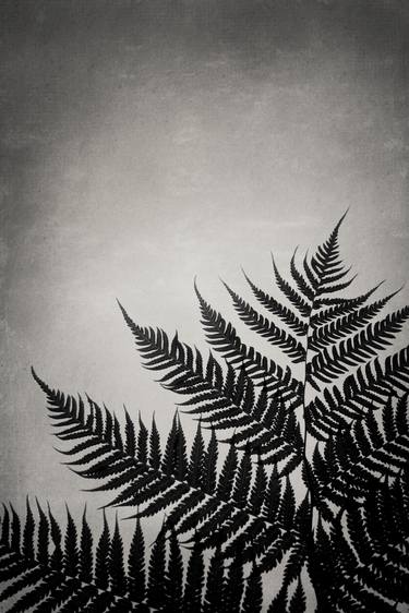 Print of Fine Art Botanic Photography by Natascha vanNiekerk