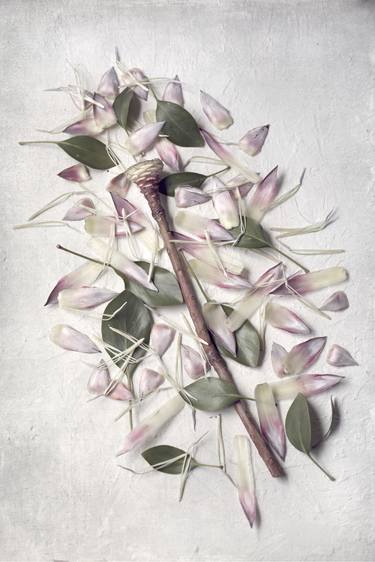 Print of Fine Art Botanic Photography by Natascha vanNiekerk