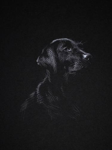 Saatchi Art Artist Kay Lee; Drawings, “Dog Portrait #005” #art