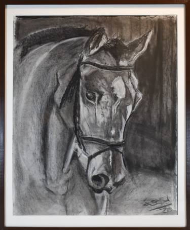 Print of Expressionism Animal Drawings by Leopoldo Sosa