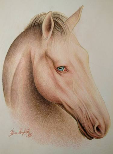 Original Figurative Animal Drawings by Fabio Meneghella