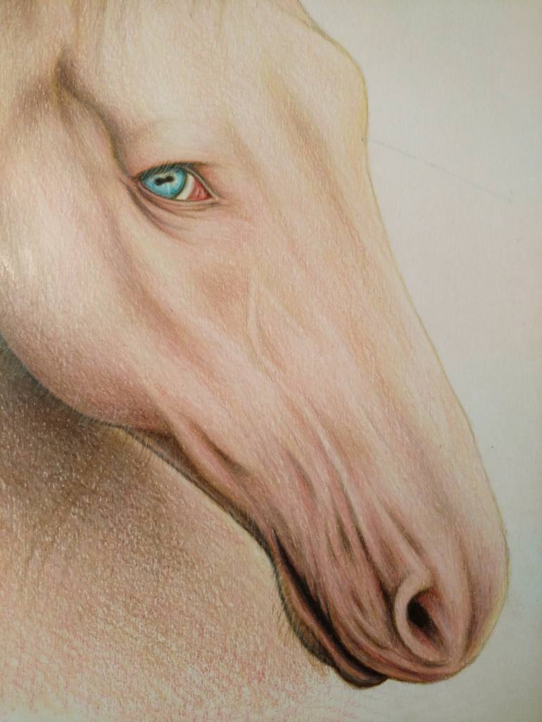 Original Figurative Animal Drawing by Fabio Meneghella