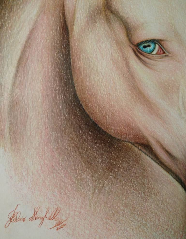 Original Figurative Animal Drawing by Fabio Meneghella