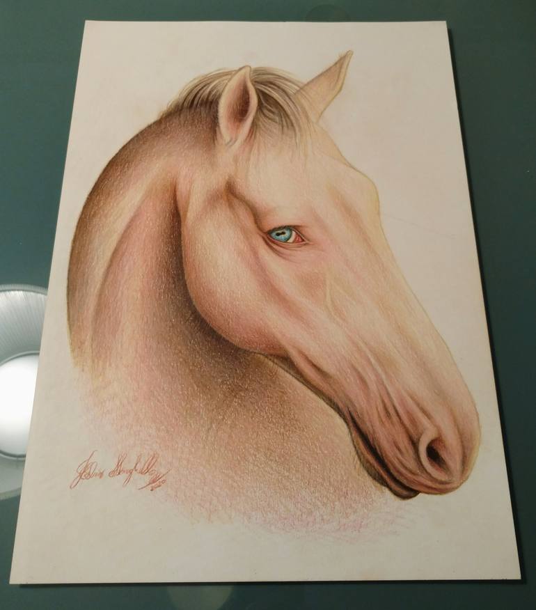 Original Animal Drawing by Fabio Meneghella