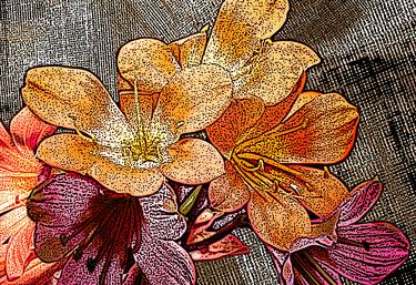 Print of Fine Art Floral Mixed Media by Biswajit Majumder