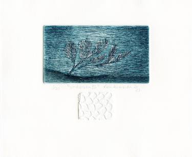 Original Seascape Printmaking by Vera Almeida